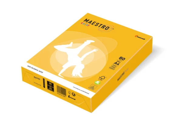 Maestro Color 80gsm Paper Tints A4