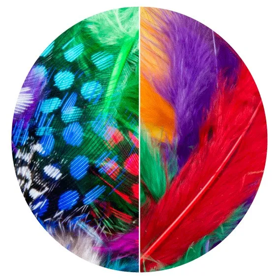 Dala Feathers 6cm