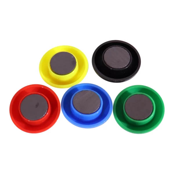 Parrot Standard Moulded Button Magnets 30mm Assorted 5 Pack