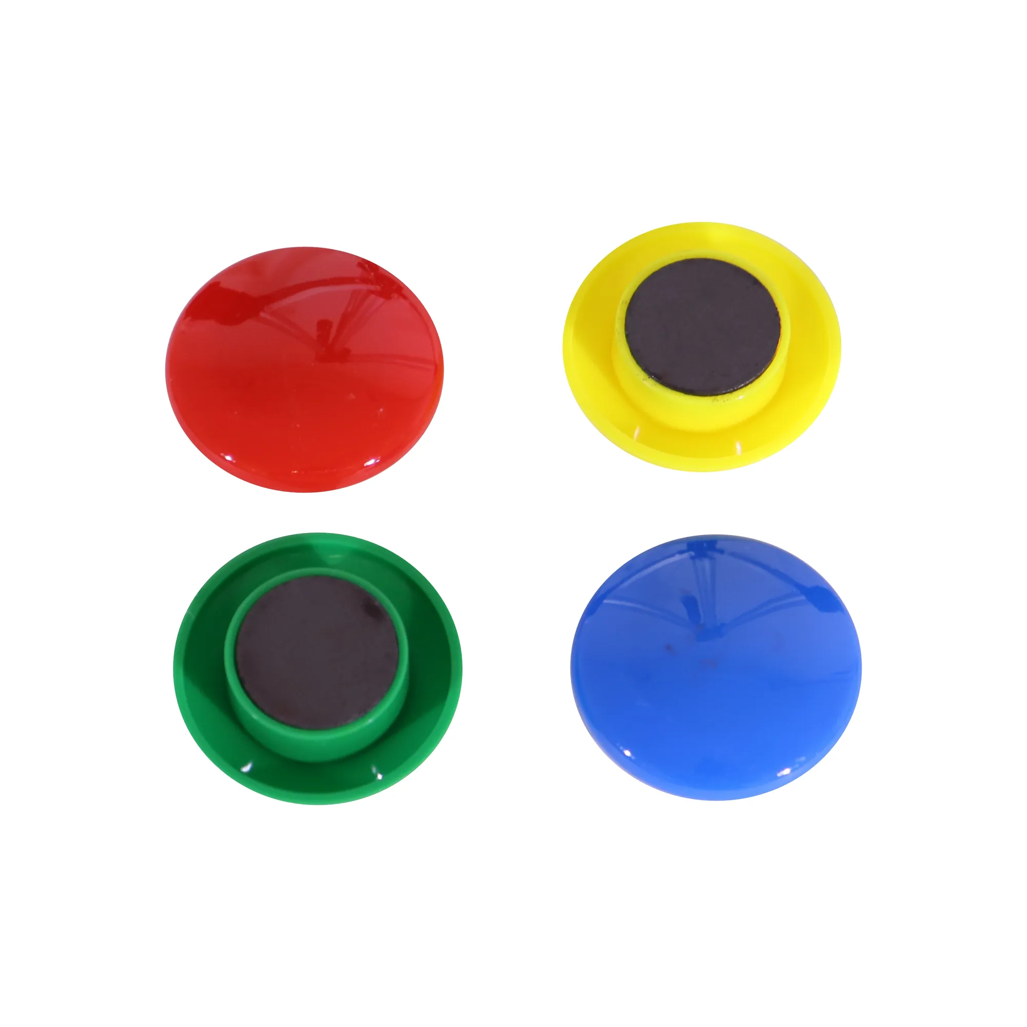 Parrot Standard Moulded Button Magnets 40mm Assorted 4 Pack - Image 2