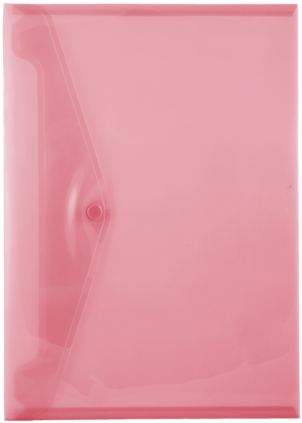 Butterfly Carry Folders A4 Pink