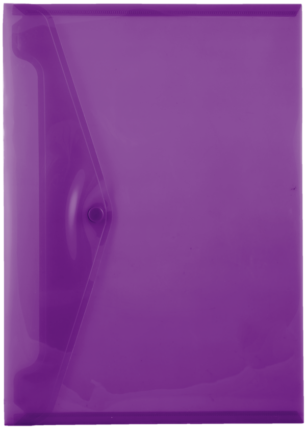 Butterfly Carry Folder A4 Violet